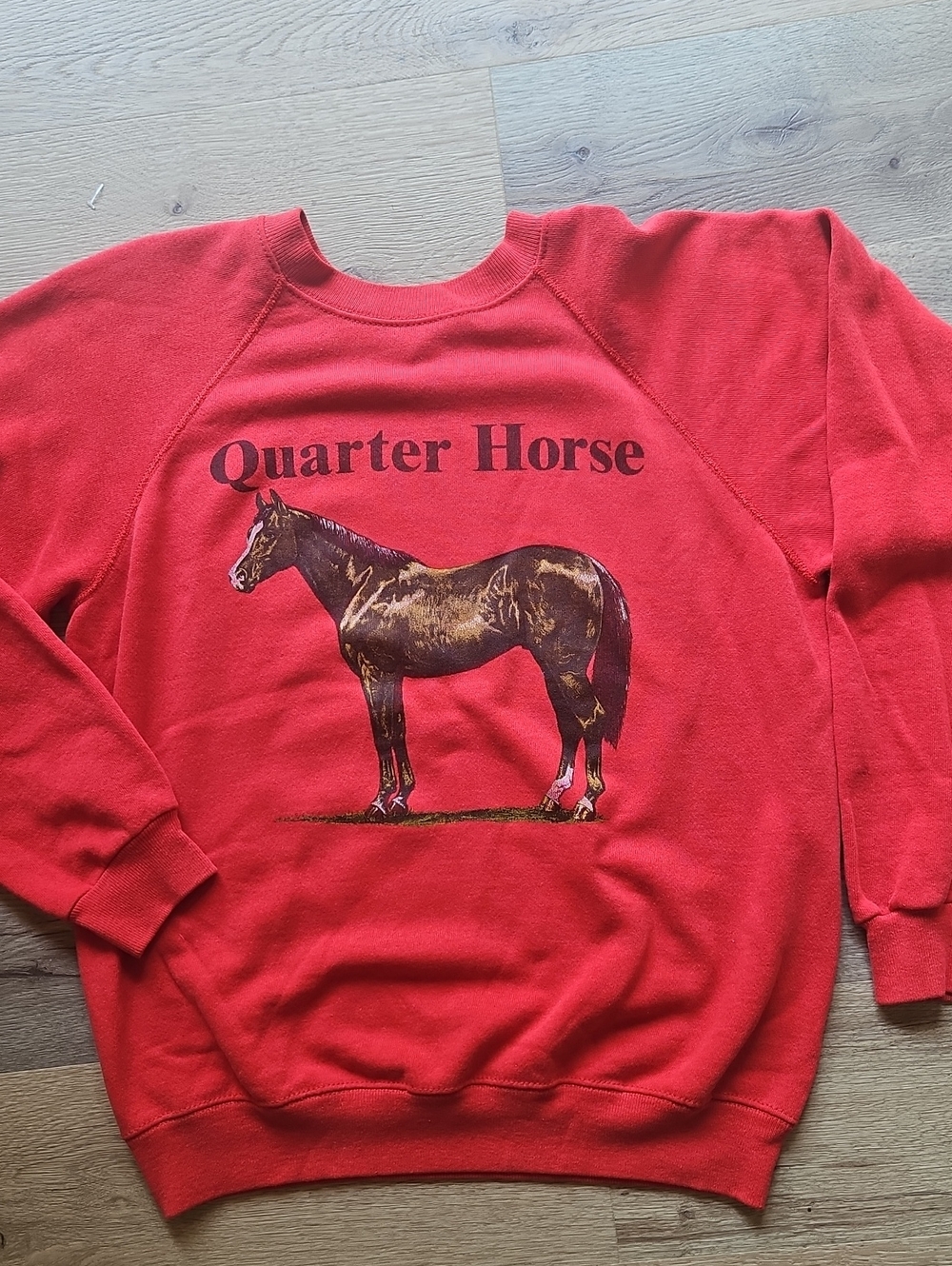Vintage Hanes Quarter Horse Sweatshirt Equestrian USA Large